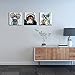 Visual Art Decor Funny Animals Canvas Wall Art Gorilla Monkey Music Oil Painting Wall Picture Happy Dog Frog Canvas Prints Rustic Wood Background Home Office Living Room Decoration (16x16x3 Retro)
