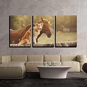 Red Border Collie Dog and Horse Together at...