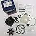 OEM BRP OMC Johnson Evinrude Water Pump Kit 1979-1997 V4/V6 5001594