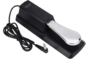 DILWE Keyboard Sustain Pedal, Universal Digital Piano Foot Pedal with Non-slip Bottom for Yamaha Casio Keyboards