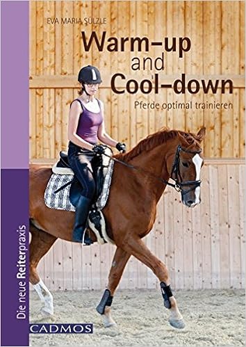 Warm Up And Cool Down Pferde Optimal Trainieren Amazonde - 