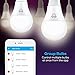 Geeni LUX 800 Smart Wi-Fi LED Dimmable White Light Bulb (2700K) – A19, 60-Watt Equivalent – No Hub Required – Works with Amazon Alexa, Google Assistant