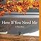 Here If You Need Me: A True Story: Braestrup, Kate: 9780316066310