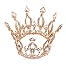 Stuffwholesale 4inch Height Floral Full Crown Rhinestone Crystal Tiara Bridal Wedding Hair Accessory (Rose Gold)