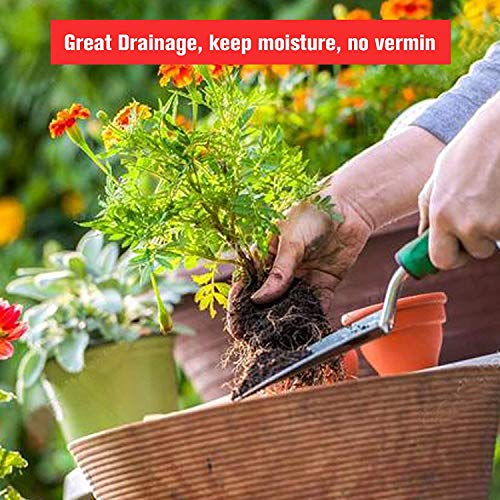 Organic Succulent and Cactus Soil Mix Fast Draining Pre-Mixed Course Blend (2 Quarts) - //coolthings.us