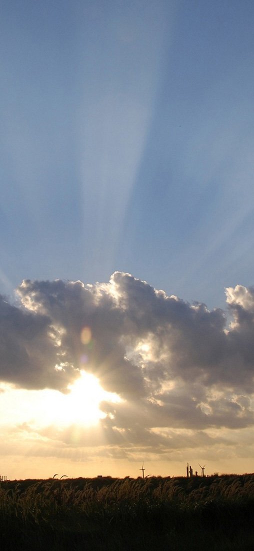 PeelitStickit, Beautiful Nature Wall Murals, ID-1903, vinyl