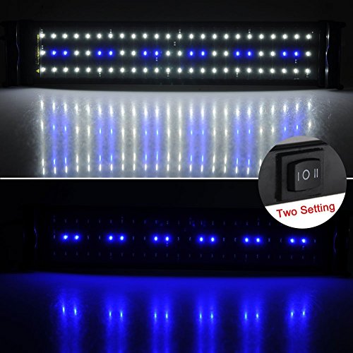MingDak LED Aquarium Light Fixture for Fish Tank,Suitable for Saltwater and Freshwater,72 LEDs,20-inch,Lighting Color White and Blue