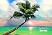 Tervis Sunset In Paradise Stainless Steel Tumbler with Clear and Black Hammer Lid 20oz, Silver