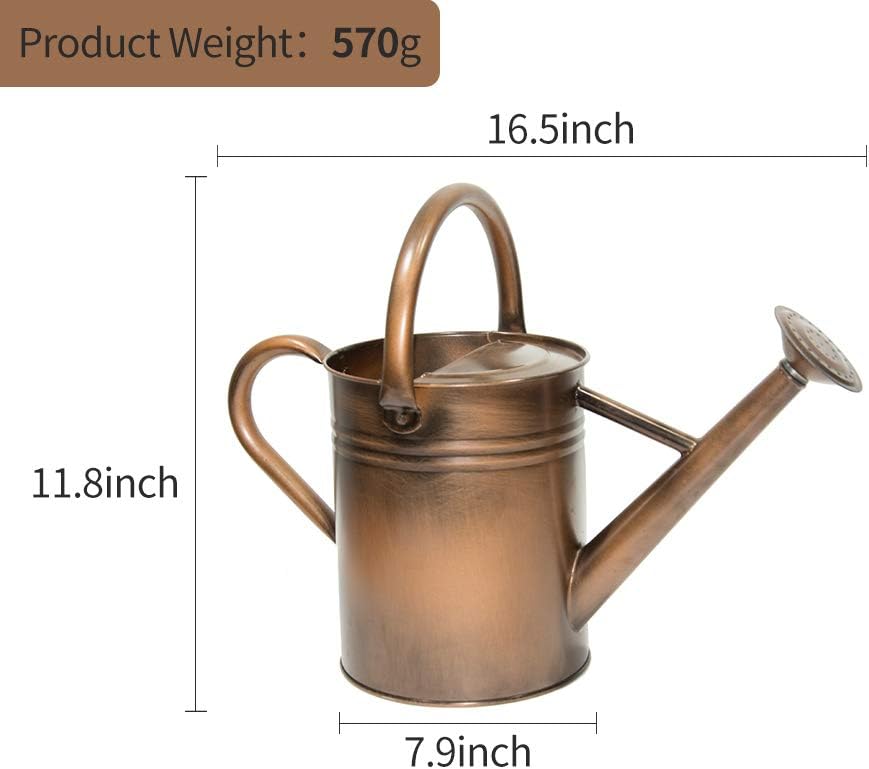 yourjoy Steel Watering Can Sliver Galvanized Steel Watering Can with Copper Accents, Removable Rosette-Diffuser, One-Gallon : Garden & Outdoor
