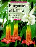 Daturas et brugmansias by