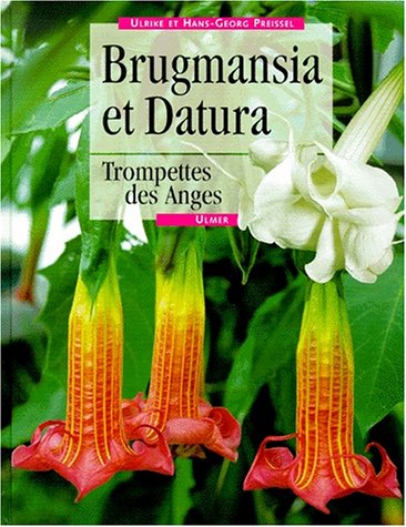 Daturas et brugmansias by Preissel