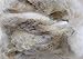 Flowing River Farm - Raw Sheep Wool - 12oz