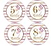 Baby Girl Monthly Milestone Stickers - (Set of 24) - Premium Box Included with Baby Stickers for Baby Shower or Scrapbook Keepsake