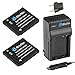 EforTek DMW-BCK7 Replacement Battery (2-Pack) and Charger Kit for Panasonic DMW-BCK7,DMW-BCK7PP,DMW-BCK7E,NCA-YN101G and Panasonic Lumix DMC-FP5, DMC-FP7,DMC-FH2, DMC-FH5, DMC-FH24, DMC-FH25, DMC-FH27, DMC-FS16, DMC-FS18, DMC-FS35, DMC-FS37, DMC-FX77, DMC-FX78, DMC-S1, DMC-S3
