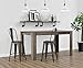 DHP Luxor Metal Counter Stool with Wood Seat and Backrest, 24