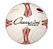 Champion Sports Futsal Ball - Futsal Soccer Ball - Indoor and Outdoor Futsal Ball - White/Green/Black/Gray - Size 3.7 Inch