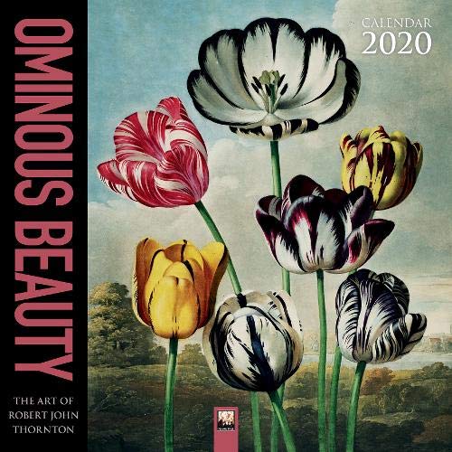 Ominous Beauty - The Art of Robert John Thornton Wall Calendar 2020 (Art Calendar) by