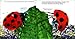 The Grouchy Ladybug (World of Eric Carle)