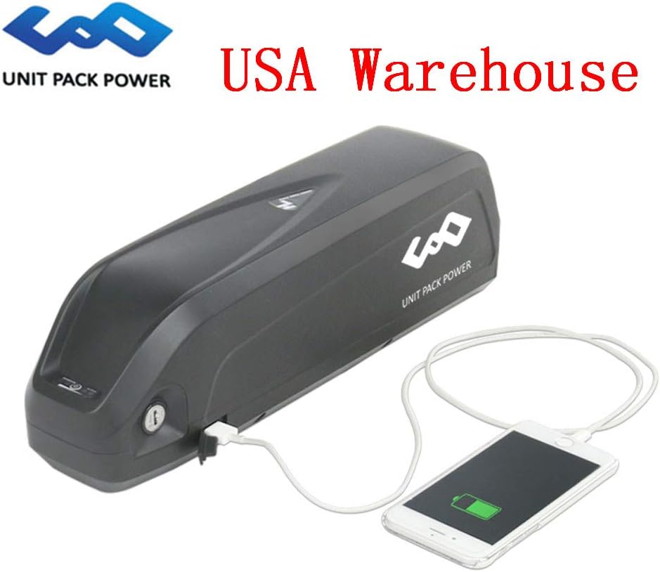 GoodPoint Art 48V 13AH/16AH Hailong E-Bike Lithium Battery with Charger for 1000 Motor (USA Warehouse) (48V 16AH-Panasonic Cells)