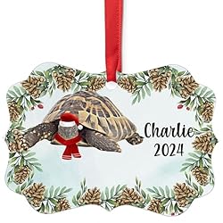 Greek Tortoise Christmas Ornament 2024