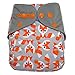 EcoAble Baby Charcoal Bamboo All-In-One AIO Cloth Diaper w/ Pocket, Size 10-30Lb (Fox)