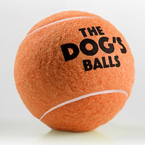 The Dog's Balls Premium Dog Toy Ball for Dog Fetch and Play, Too Big