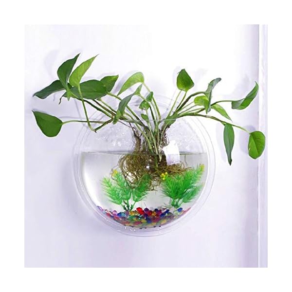 Tongxu Jarron Dispositivo Hidroponico Colgado En La Pared Montado