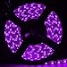 Led World Black PCB 5M 5050 SMD 300 Leds RGB Color Waterproof Flexible Strip Lights DC12V