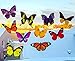 Quotidian Products Butterfly Window Clings-20xAnti Collision Decal to Prevent Bird Strikes on Doors & Windows-Static,UV Resistant & Non Adhesive Vinyl Cling Deterrent Decal & Glass Decor to Alert Bird