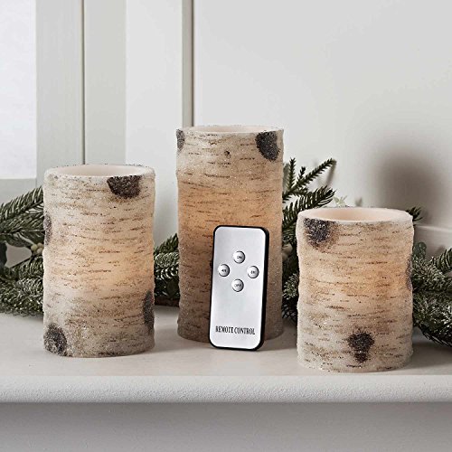 Lights4fun, Inc. Set of 3 Battery Operated Flameless LED Frosted Birch