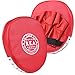 Boxing Mitt Training Target Focus Punch Pad Glove MMA Karate Muay Kick Kit