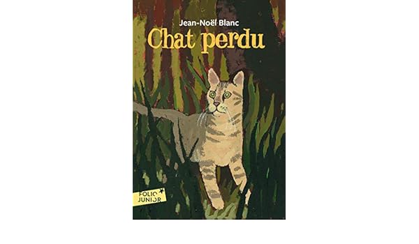 Chat Perdu Folio Junior French Edition Jean Noel Blanc