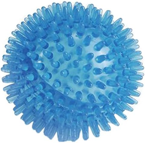 spikey ball toy