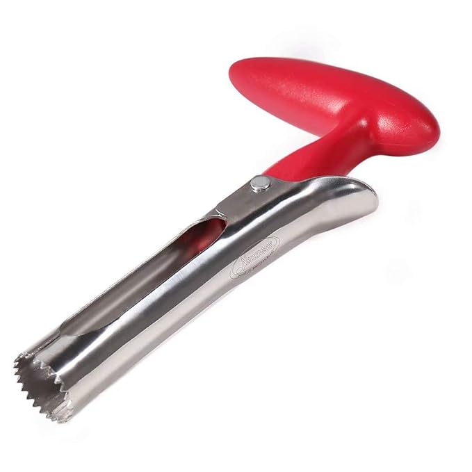 Apple Corer, Newness Premium Apple Corer Remover, Stainless Steel Apple