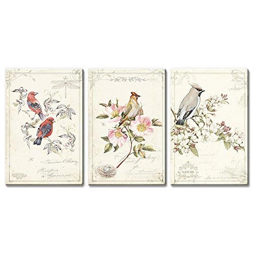 3 Panel Vintage Style Birds Flowers on Floral Background Home Art x 3 Panels