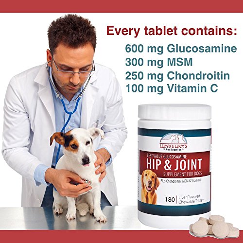 Lloyd & Lucy's Hip and Joint Supplement for Dogs Chewable