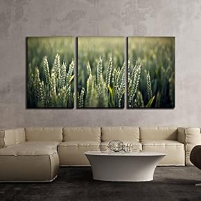 3 Piece Canvas Wall Art - Nature Landscape with Green Wheat Field - Modern Home Art Stretched and Framed Ready to Hang - 16"x24"x3 Panels