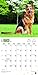German Shepherds 2017 Square (Multilingual Edition)