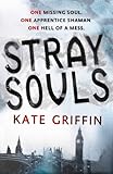Front cover for the book Stray Souls by Kate Griffin