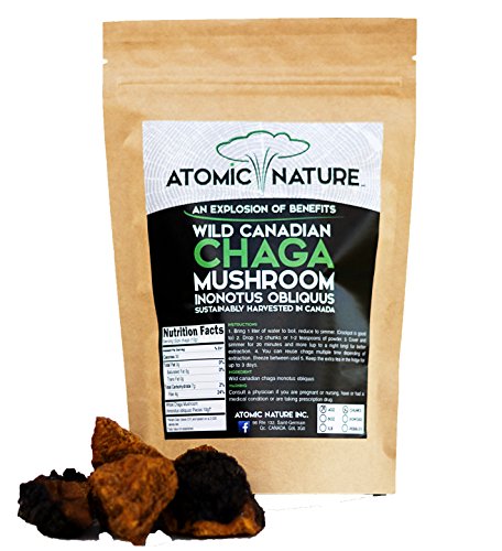 UPC 651137724712, 4oz Raw Organic Wild Chaga Mushroom Tea Chunks – 100% Natural Hand-Harvested Canadian Forest Chaga Superfood, Healthy Immune System Booster &amp; Antioxidant, Perfect Size For Brewing