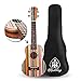 Honsing Soprano Ukulele Professional 21 Inch uke with 5mm Padded Gig Bag Aquila Strings Rosswood Frets Colorful Stained Hawaiian Pattern