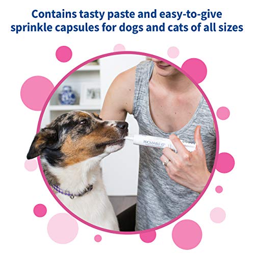 Nutramax Proviable Digestive Health Supplement Kit with MultiStrain