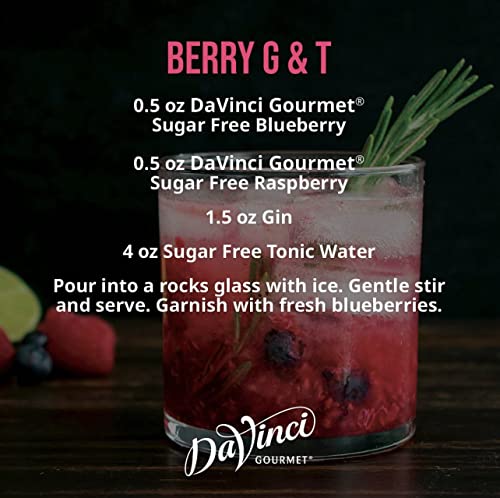 DAVINCI GOURMET SUGAR-FREE BLUEBERRY SYRUP, 25.4 FLUID OUNCES (PACK OF 1)