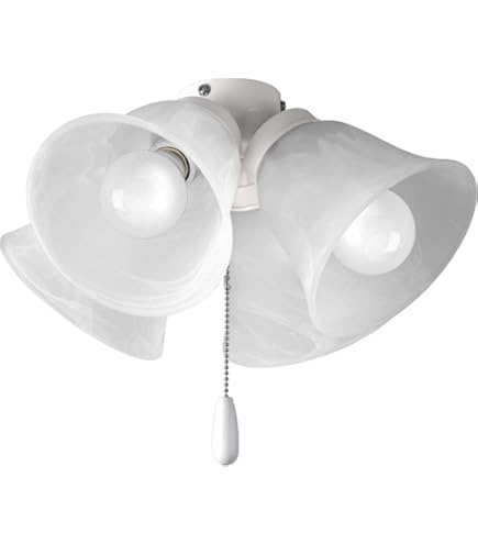 Quorum Two Fan Light Kit 1177-801 - Transitional Style, 12x13 Inches, Accessory For Ceiling Fans, Easy To Install
