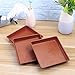 Yardwe 10 PCS Square Plastic Plant Saucer Tray Plant Pot Saucer Flower Pot Tray for Garden Potted Water Drips and Soil 5.9 x 5.9 x 1.1 Inch (Red)thumb 2