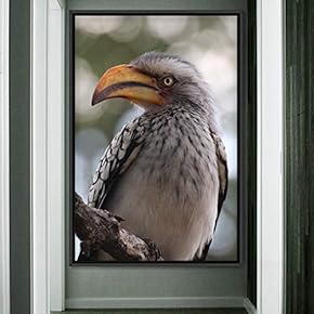 signwin Framed Canvas Wall Art Single Bird Birds...