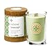 Root Candles 9941269 Seeking Balance Small Spa Candle, 6.5-Ounce, Relieve: Eucalyptus Menthol
