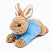 GUND Classic Peter Rabbit Running Plush, 8