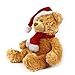 WILDREAM Plush Bear Stuffed Animals, First Teddy Bear Plush for Boys Girls Soft Gifts for Birthday, 11 Inches (Honey Brown)