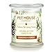 One Fur All Pet Candle Plant-Based, Clean Burning Forest Scented Candle for Pet Odor - Evergreen Forest